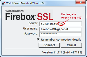 Sonicwall ssl vpn client download